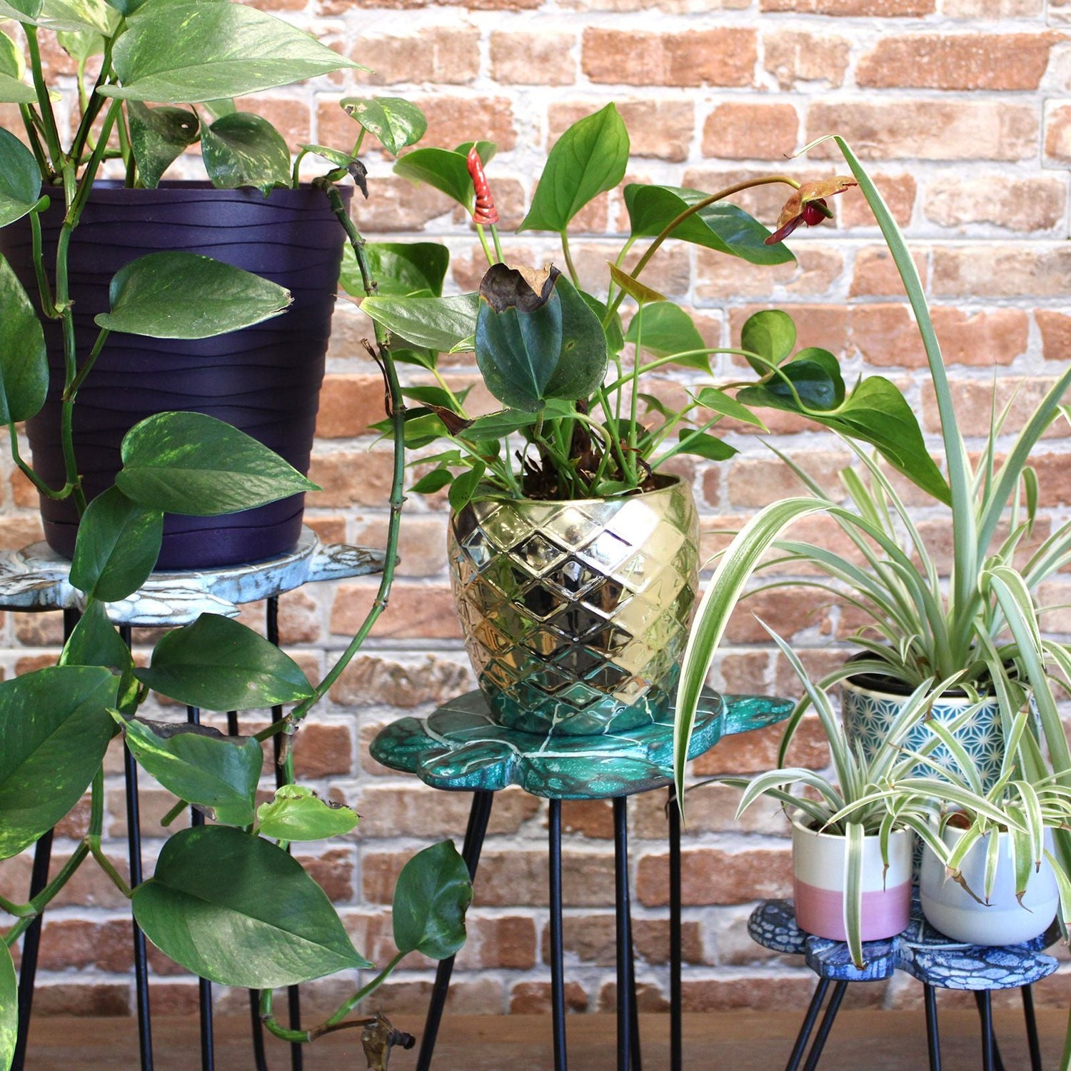 Wooden Plant Stands